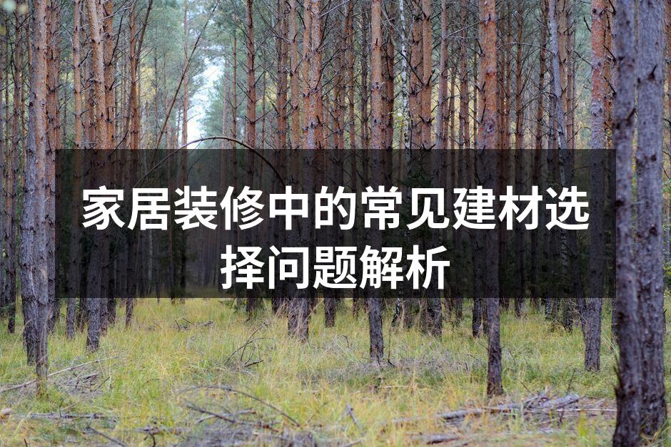 家居装修中的常见建材选择问题解析