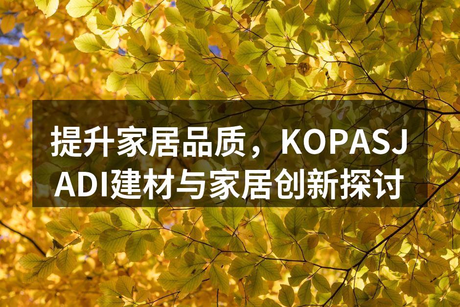 KOPASJADI最新产品展示